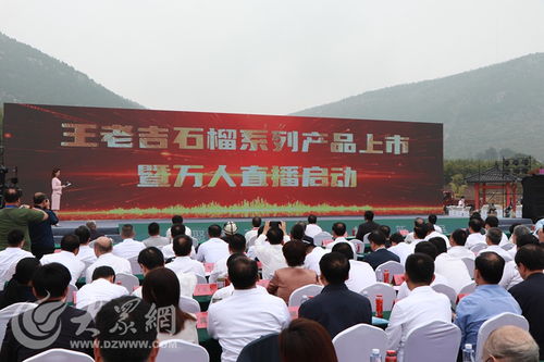 榴聚新動(dòng)能 2023石榴產(chǎn)業(yè)發(fā)展大會(huì)在棗莊開幕，共繪產(chǎn)業(yè)與文化交融新藍(lán)圖